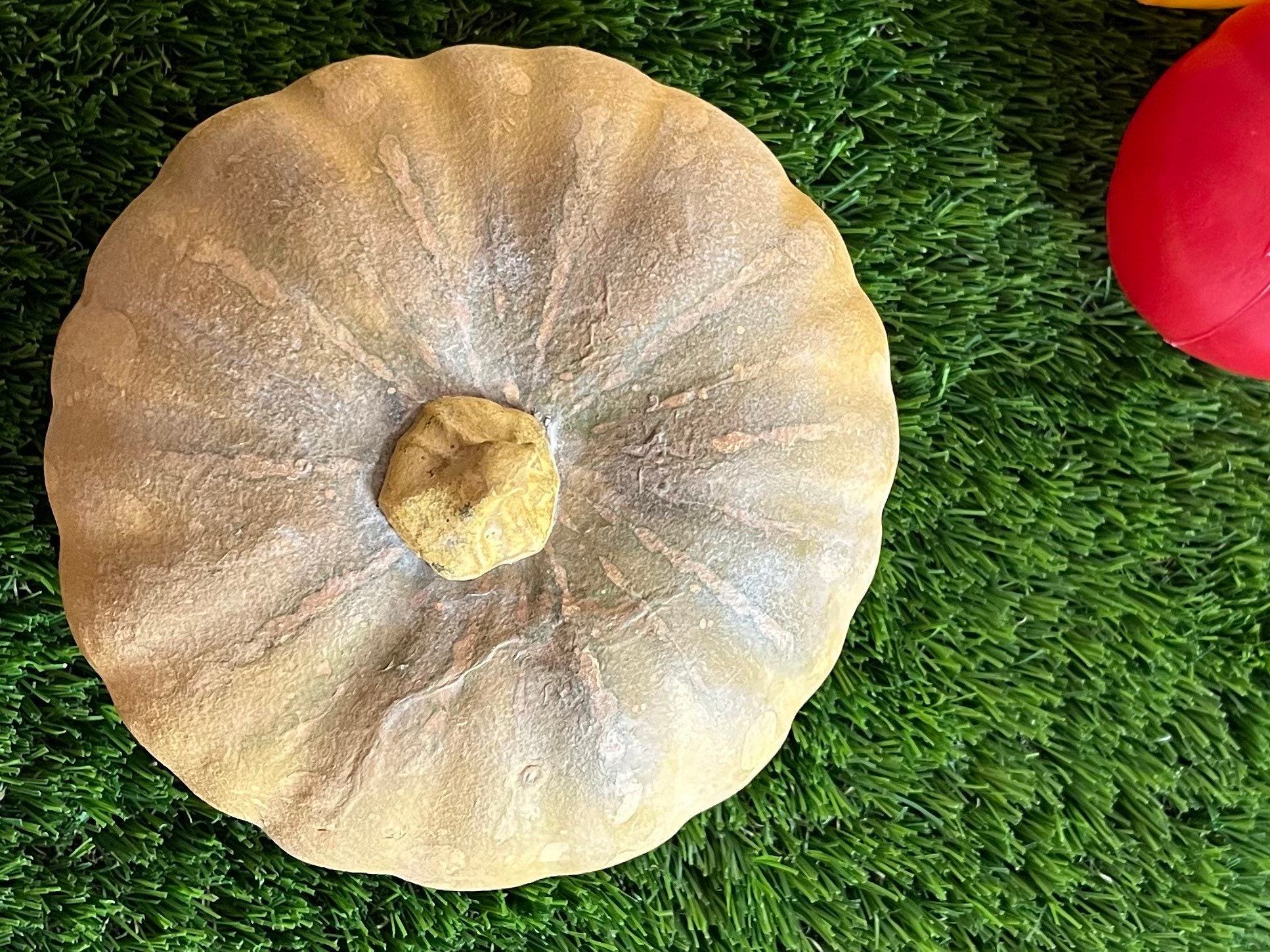 An application scenario or product detail of large plastic pumpkins - Image 15