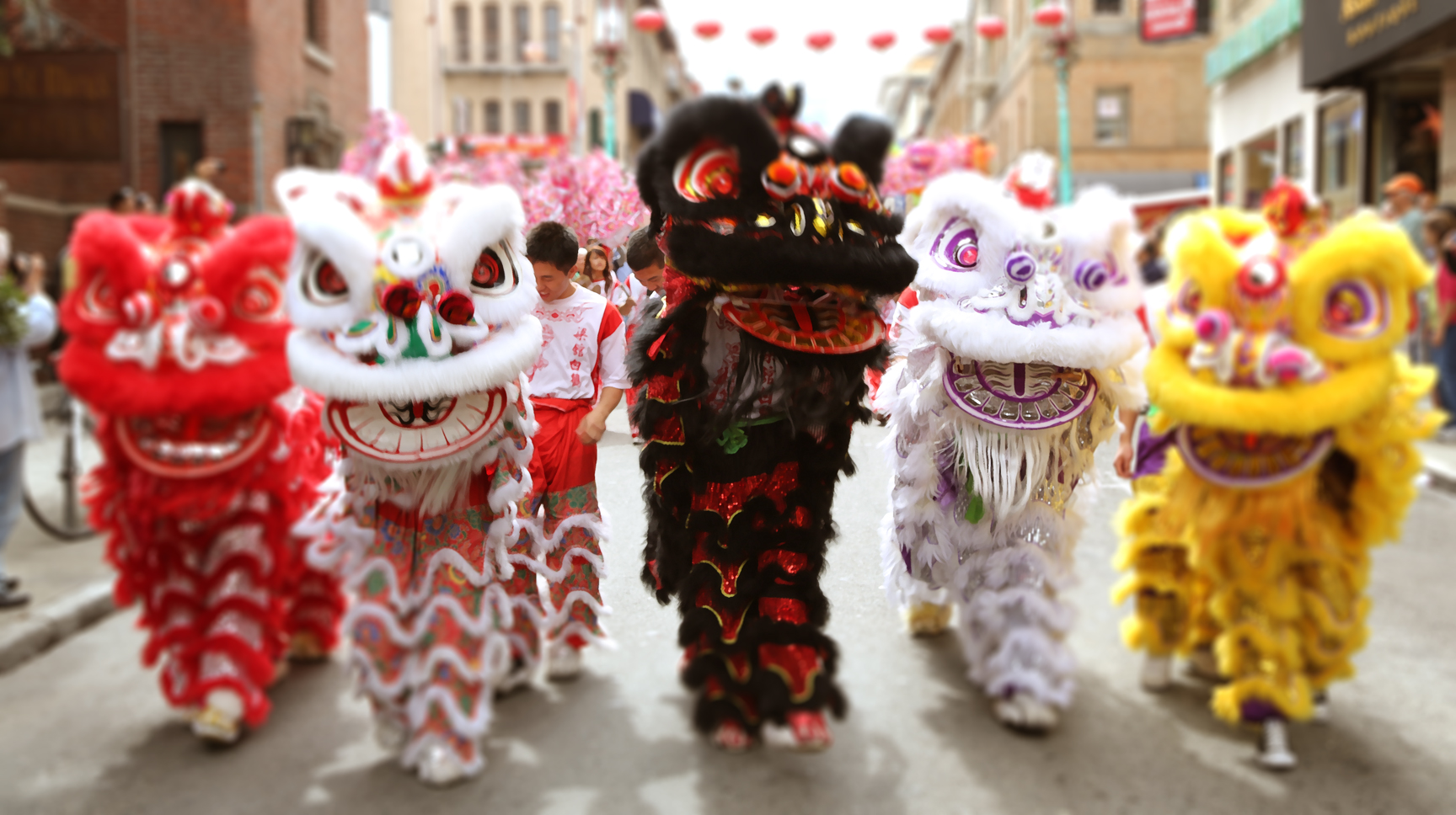 An application scenario or product detail of lion dance costume - Image 5