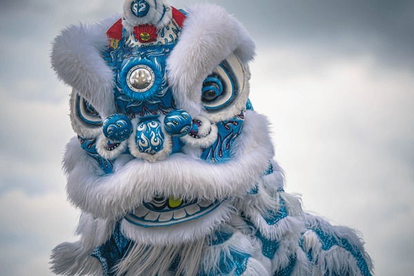 An application scenario or product detail of lion dance costume - Image 20