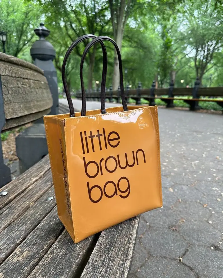 Featured image for the little brown bag guide