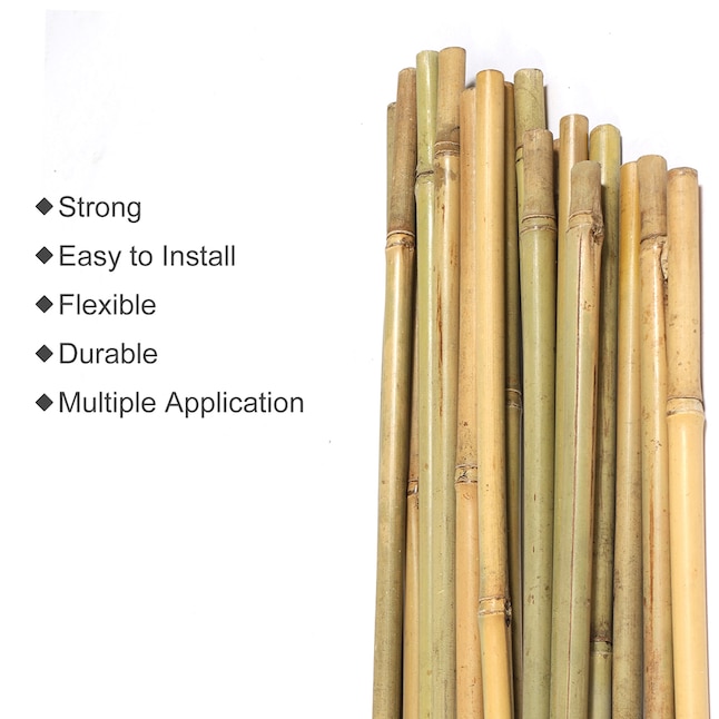 An application scenario or product detail of lowes tall bamboo sticks - Image 2
