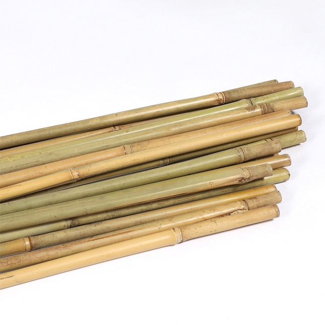 An application scenario or product detail of lowes tall bamboo sticks - Image 6