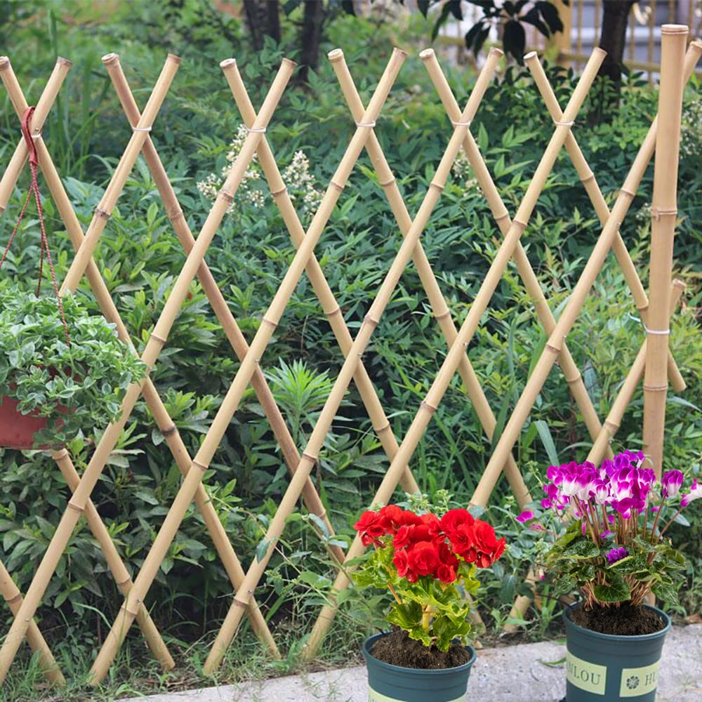 An application scenario or product detail of lowes tall bamboo sticks - Image 7