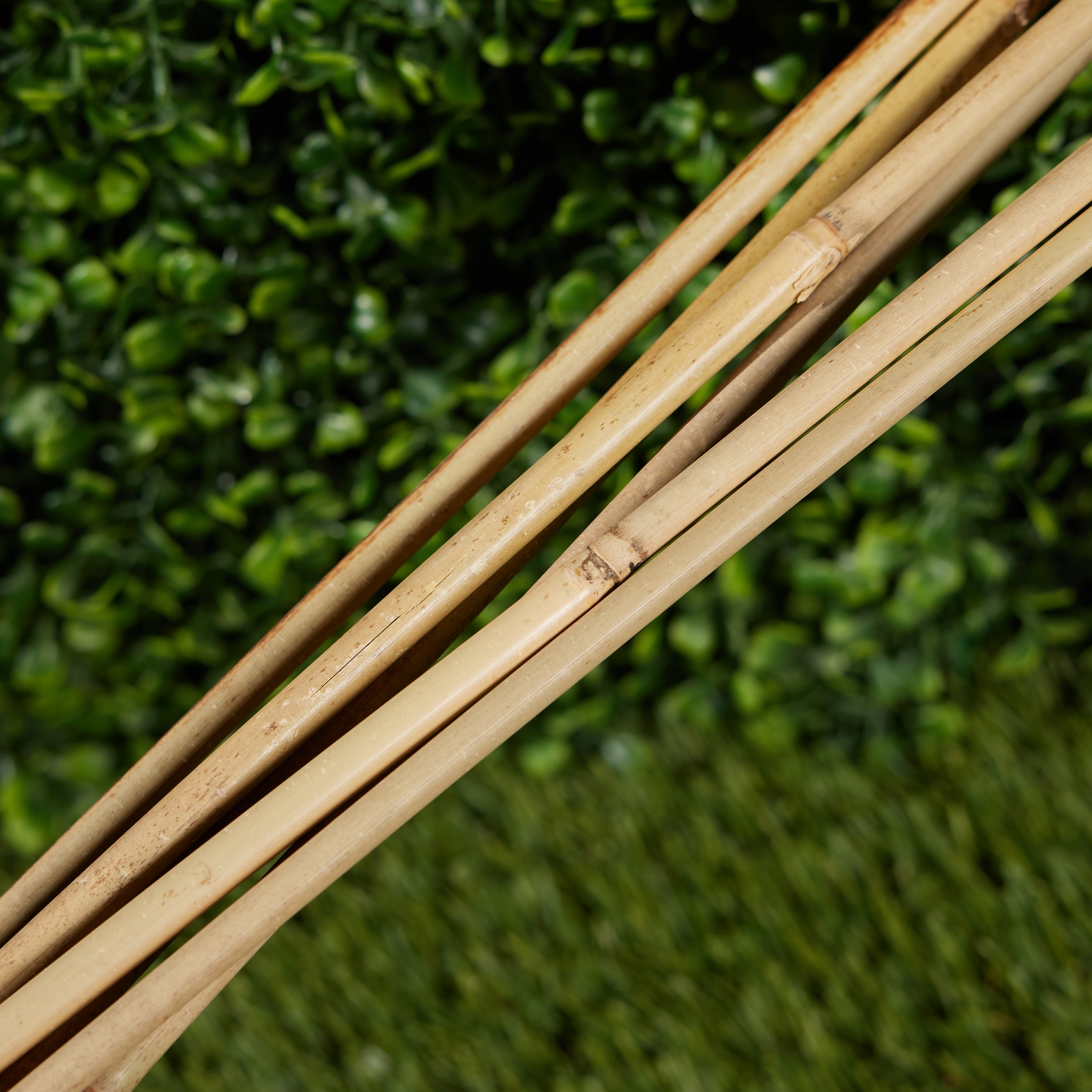 An application scenario or product detail of lowes tall bamboo sticks - Image 9