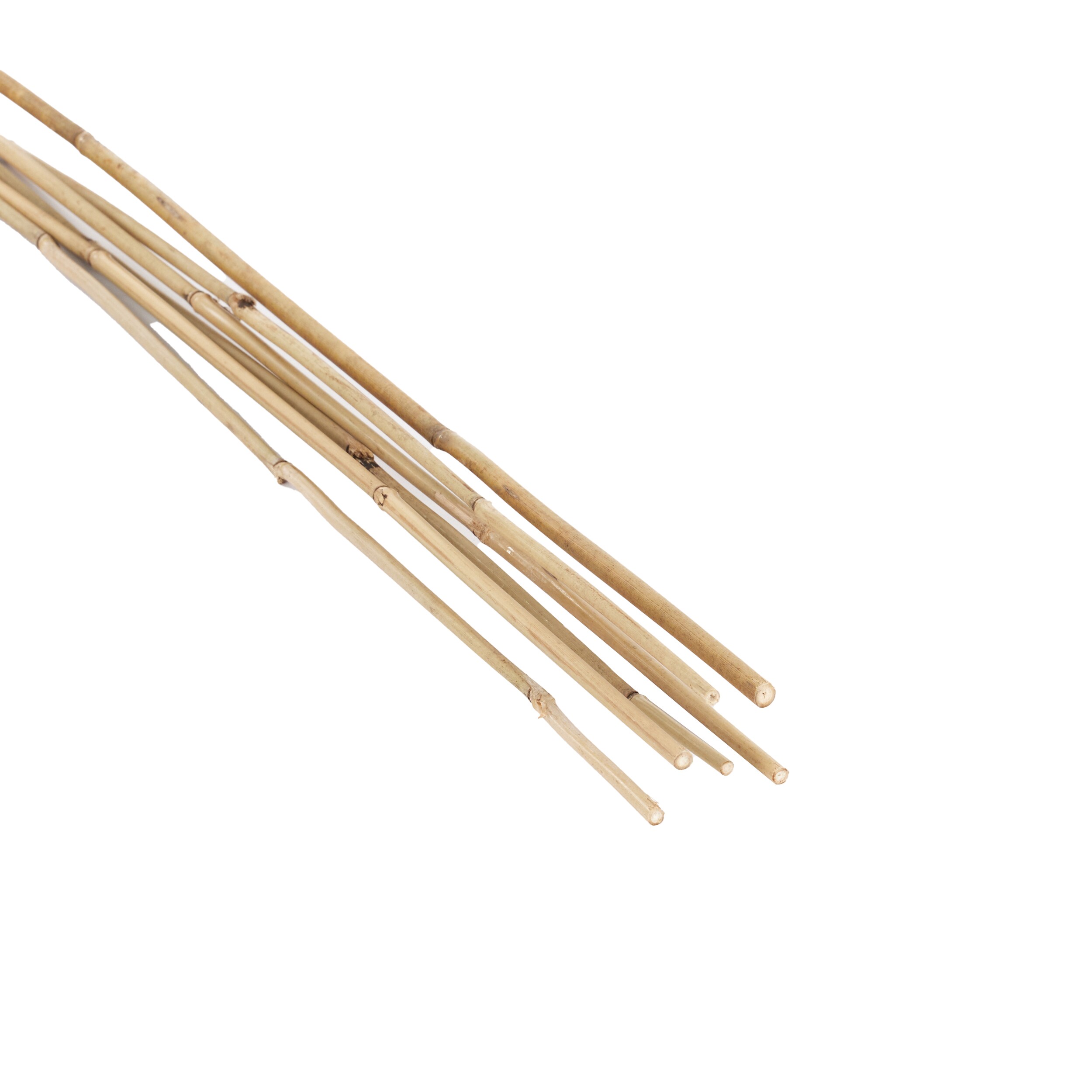An application scenario or product detail of lowes tall bamboo sticks - Image 10