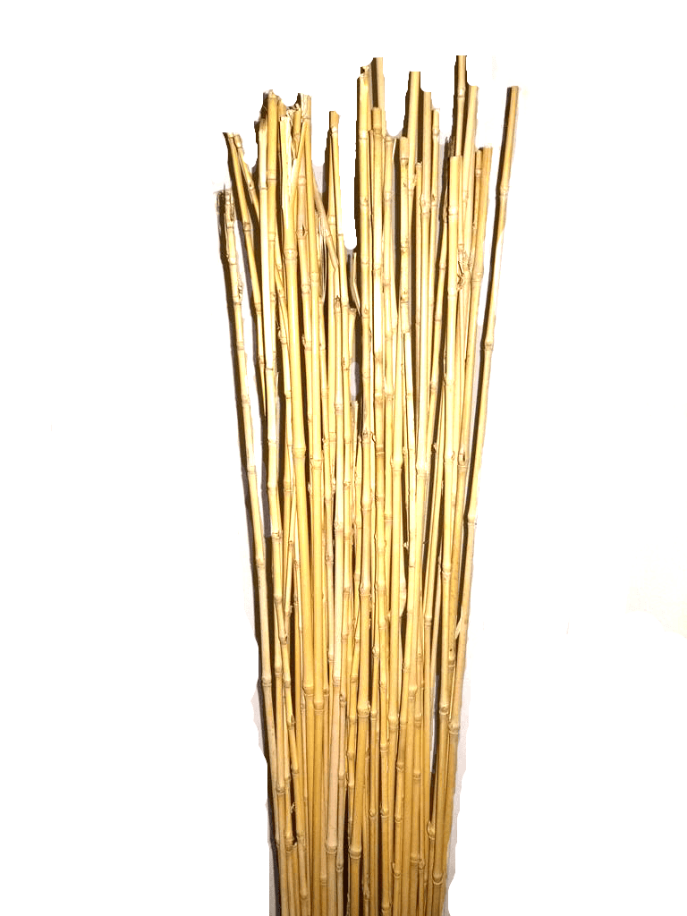An application scenario or product detail of lowes tall bamboo sticks - Image 16