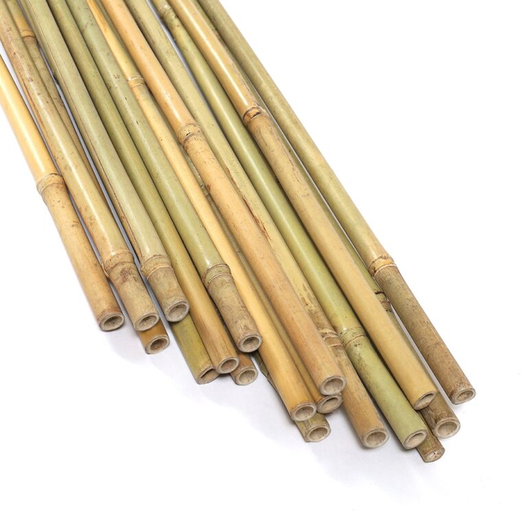 Featured image for the lowes tall bamboo sticks guide