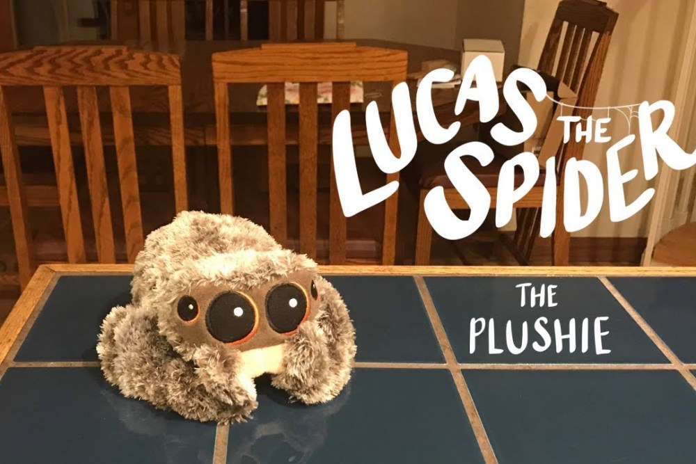 An application scenario or product detail of lucas the spider plush - Image 20