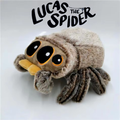 Featured image for the lucas the spider plush guide
