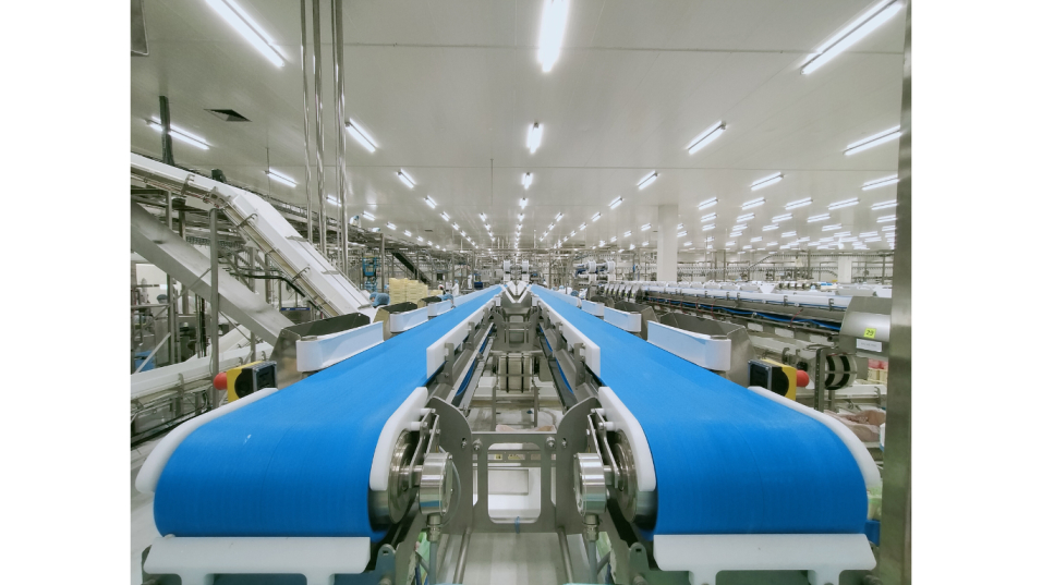 An application scenario or product detail of machine conveyor belt - Image 6