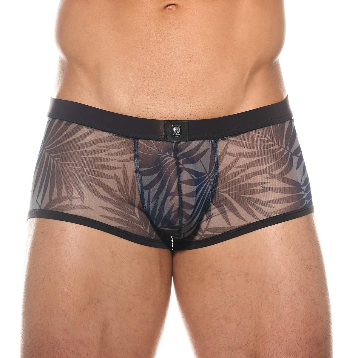 An application scenario or product detail of male see through undies - Image 4