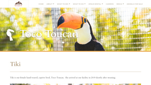 Mandalay Farms - Toco Toucan Tiki