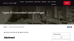 Maxave Group - Concealed Cabinet Hinges