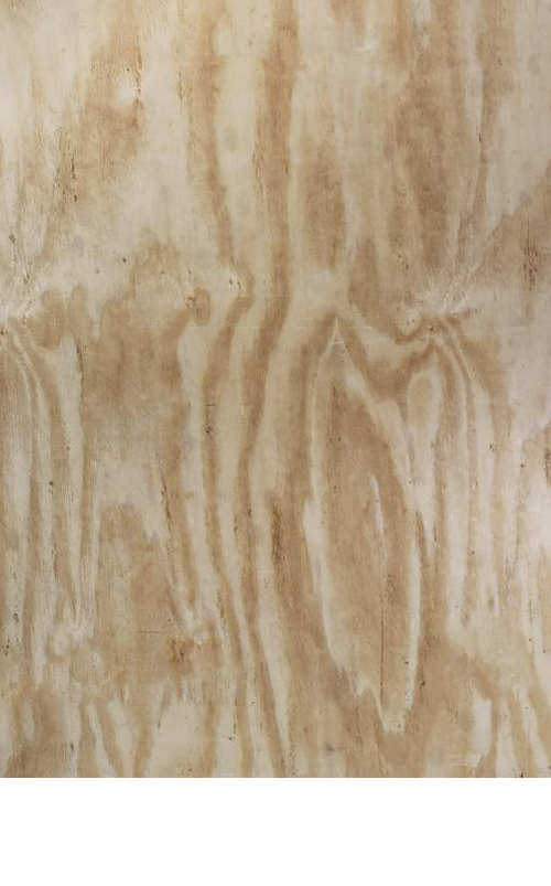 An application scenario or product detail of menards paneling - Image 14