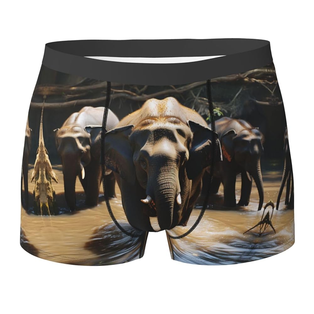 An application scenario or product detail of mens elephant underwear - Image 14