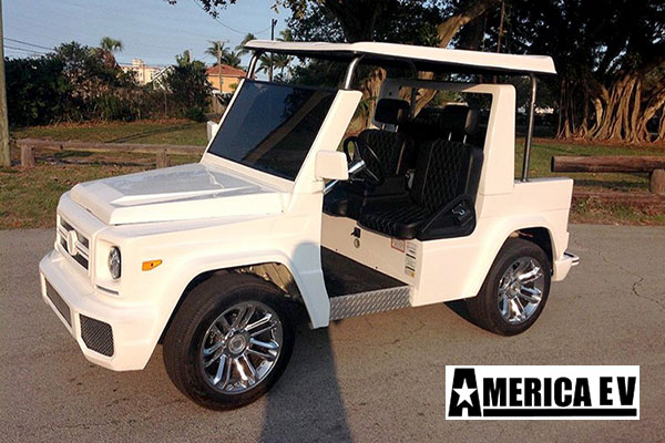 An application scenario or product detail of mini g wagon golf cart - Image 21