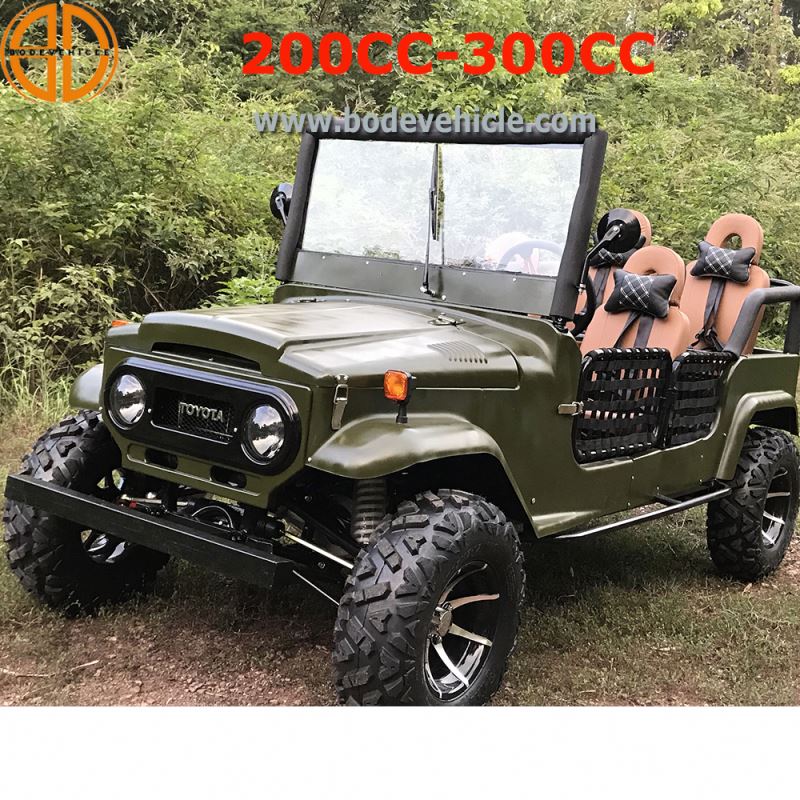 Featured image for the mini jeep 250cc guide