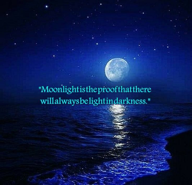 An application scenario or product detail of moonlight quotes - Image 5