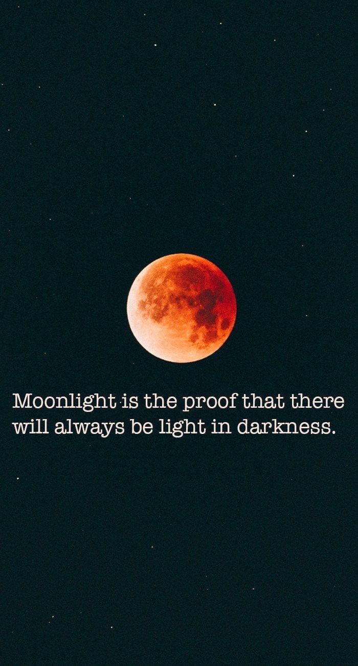 An application scenario or product detail of moonlight quotes - Image 15
