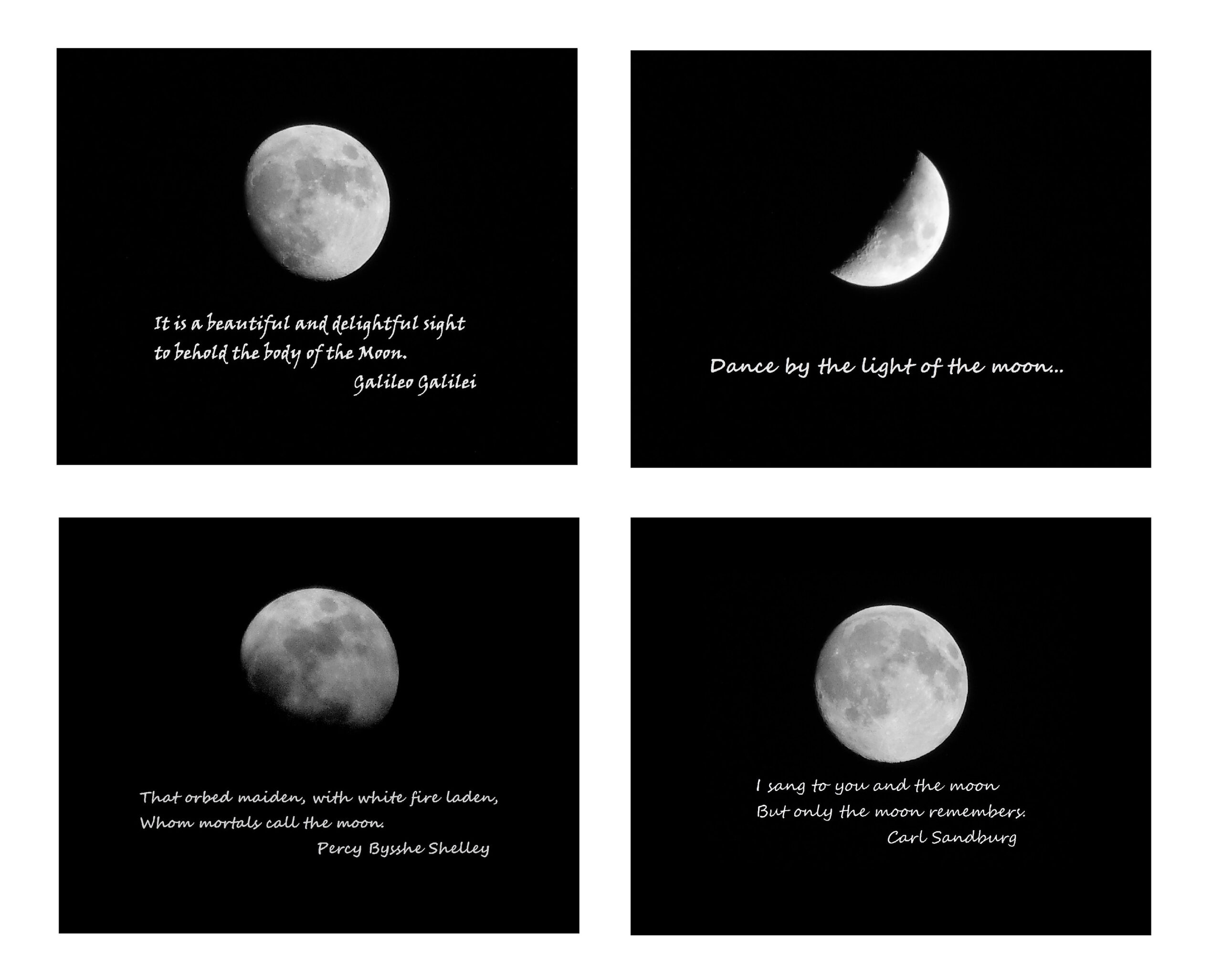 An application scenario or product detail of moonlight quotes - Image 17