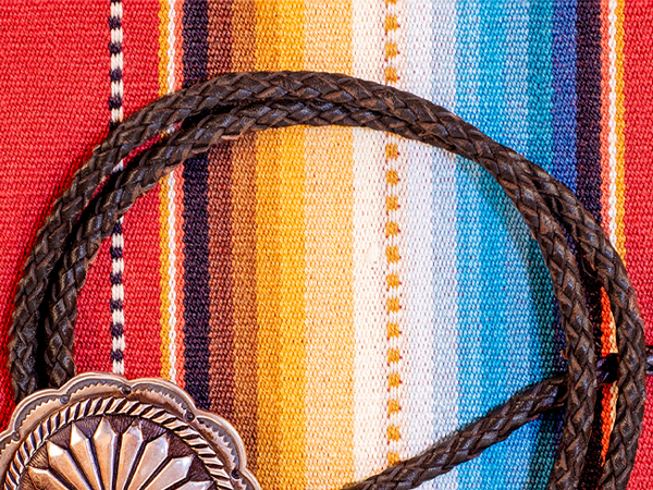 An application scenario or product detail of multi color bolo tie leather - Image 16