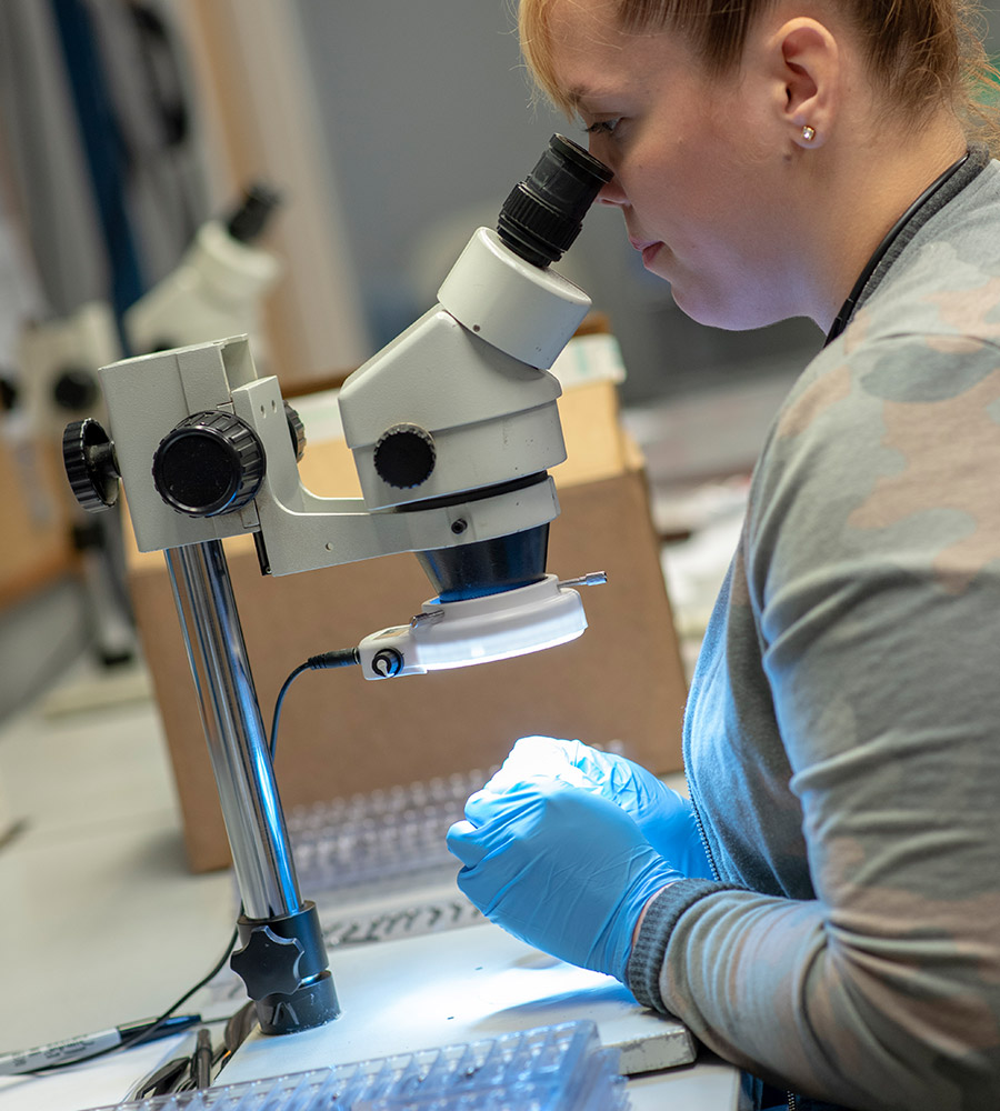 An application scenario or product detail of northeast laser and electropolish - Image 8