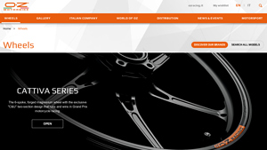 OZ - Cattiva Series 6-Spoke Magnesium Wheels
