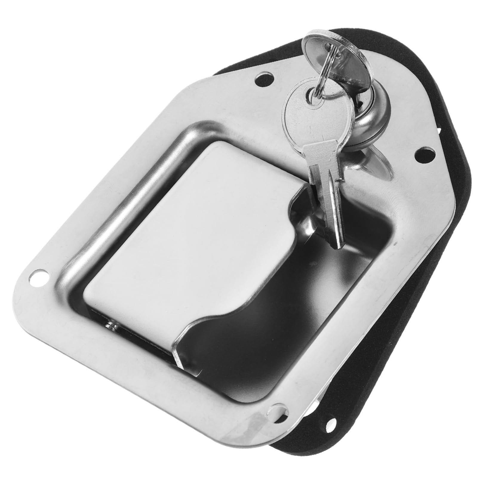An application scenario or product detail of paddle lock latch - Image 15