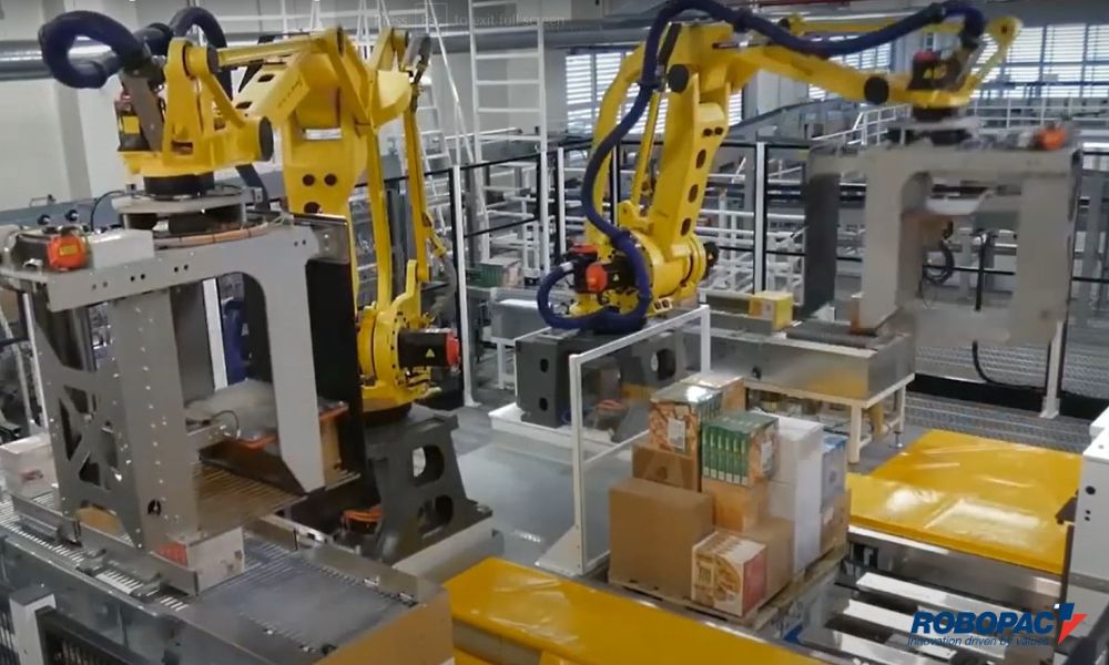 An application scenario or product detail of palletizer job description - Image 5
