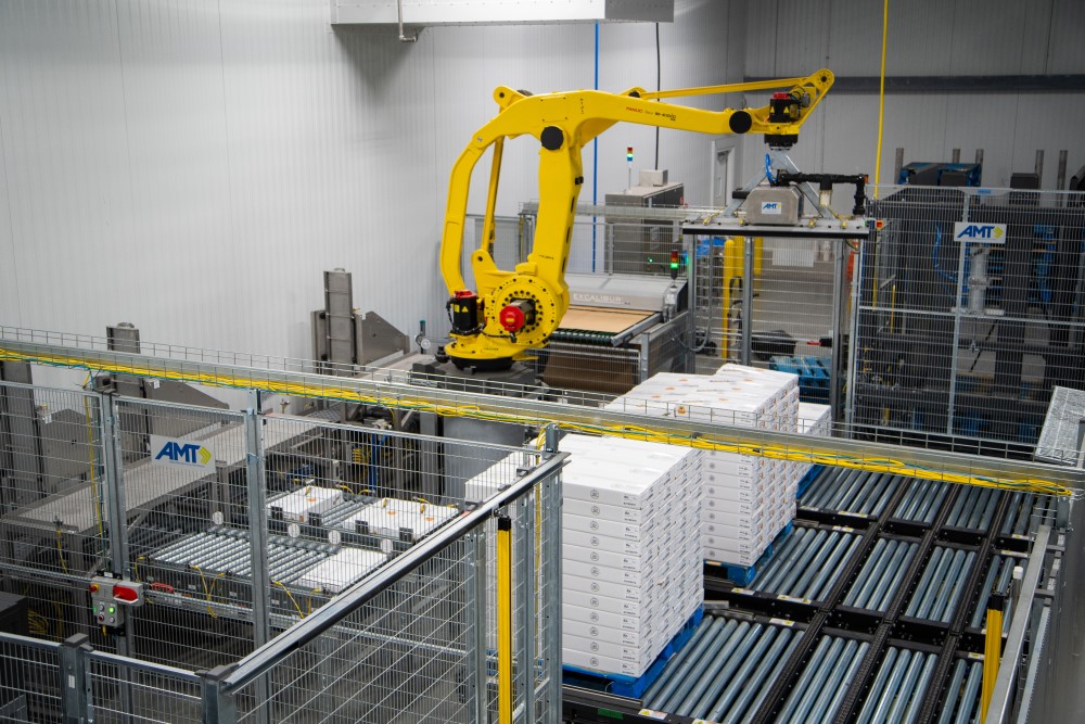 An application scenario or product detail of palletizer job description - Image 16