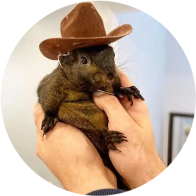 Featured image for peanut the squirrel coin - Peanut the Squirrel Price | PNUT Price ...
