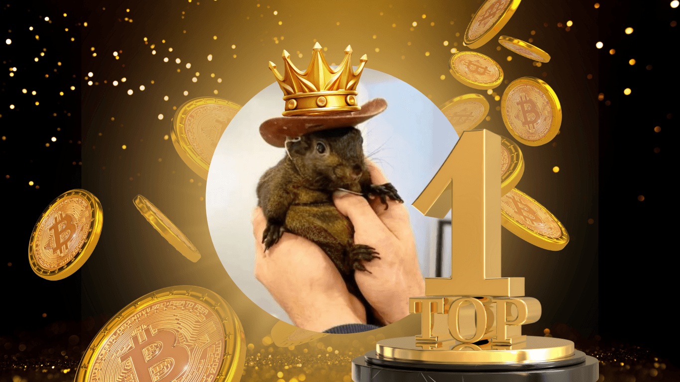 Featured image for peanut the squirrel coin - Peanut the Squirrel (PNUT): TOP ...