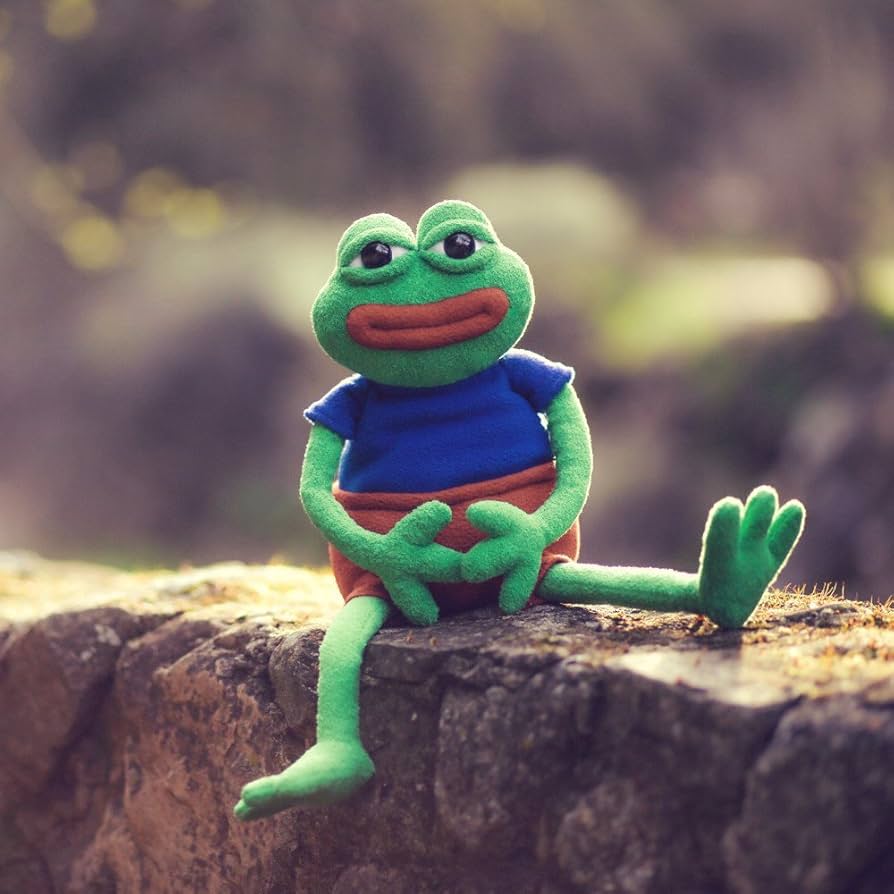 An application scenario or product detail of pepe the frog plush - Image 2