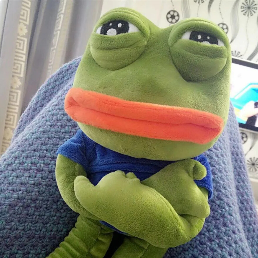 An application scenario or product detail of pepe the frog plush - Image 3