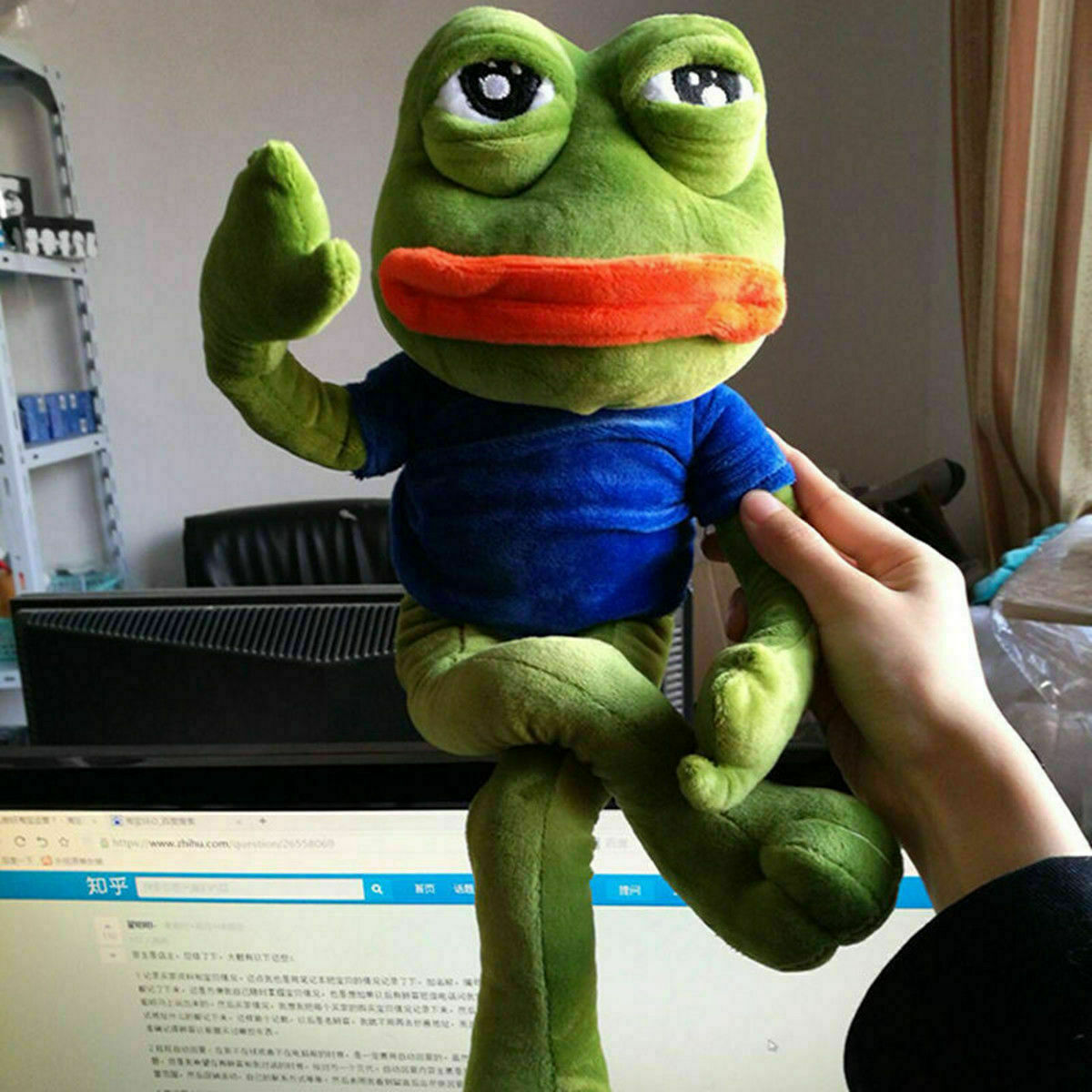 An application scenario or product detail of pepe the frog plush - Image 6