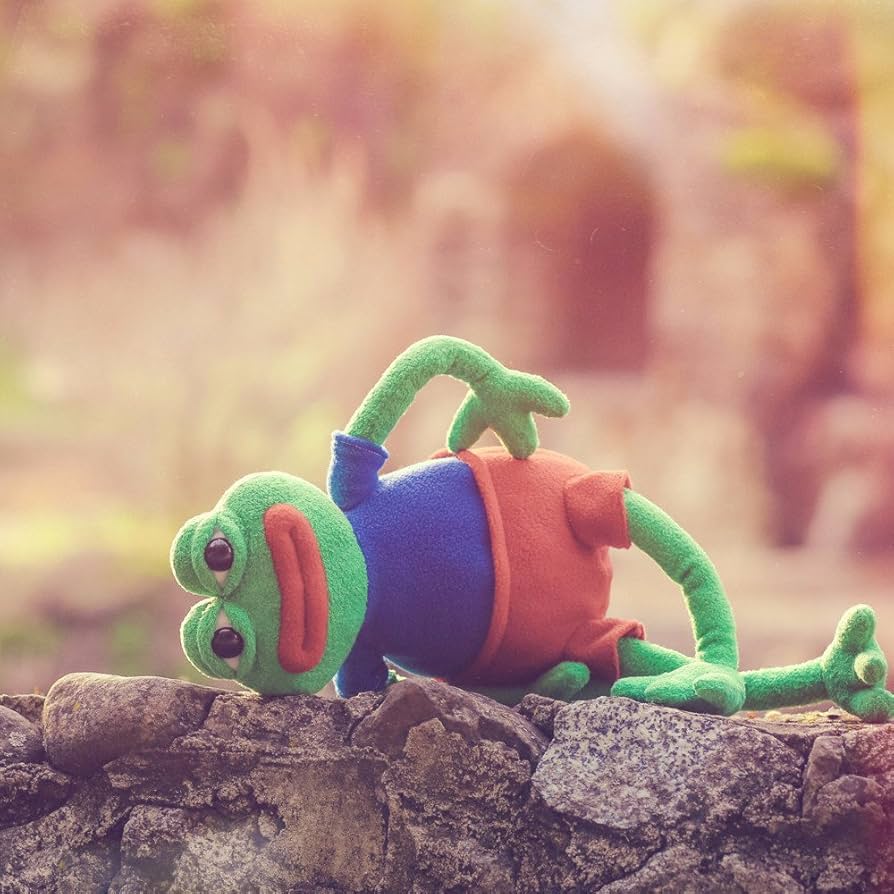 An application scenario or product detail of pepe the frog plush - Image 10