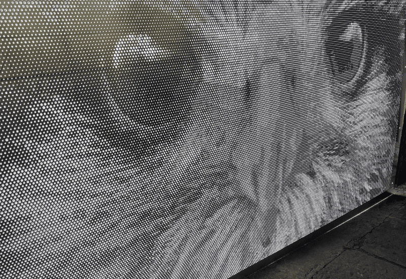 An application scenario or product detail of perf mesh - Image 2