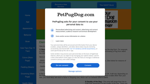 Pet Pug Dog - Price Ranges