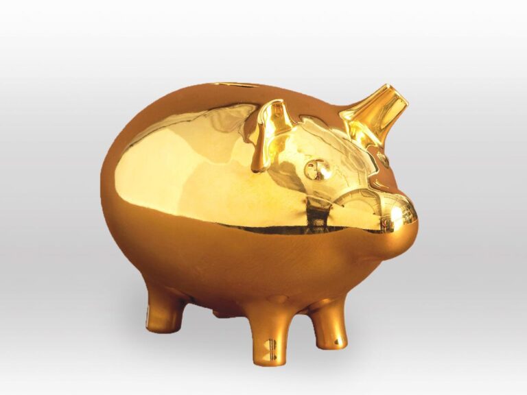 Featured image for the piggy banks for adults guide