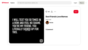 Pinterest - Funny Friendship Quotes