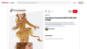 Pinterest - Lion Dance Costume