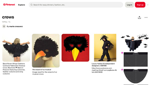 Pinterest - Black Raven Wings Costume