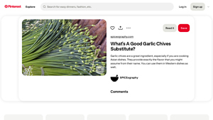 Pinterest - Garlic Chives