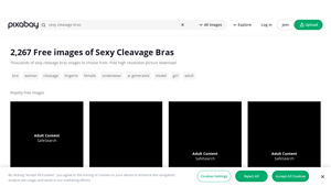 Pixabay - Free Sexy Cleavage Bras Images