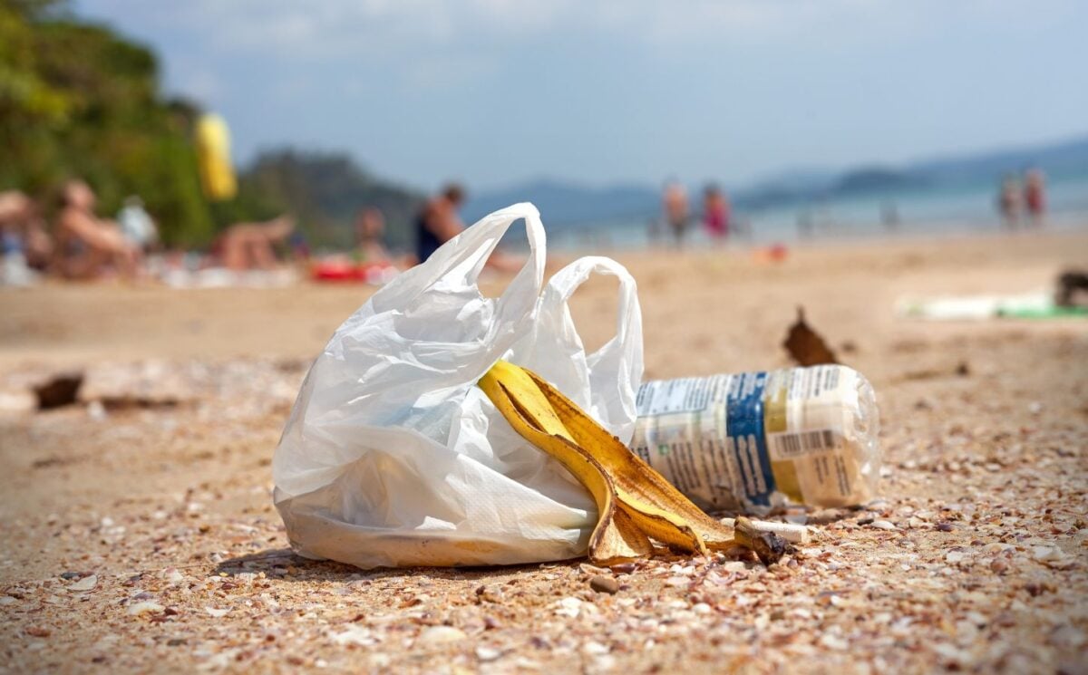 An application scenario or product detail of plastic beach bag - Image 15