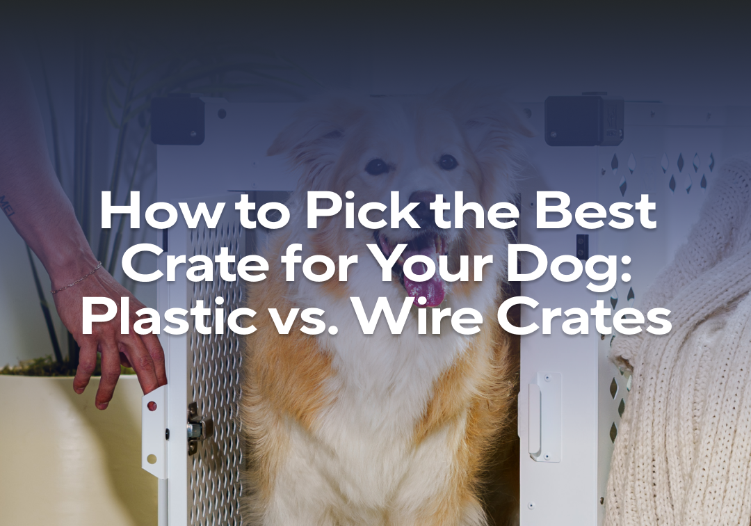An application scenario or product detail of plastic crate vs wire crate - Image 7