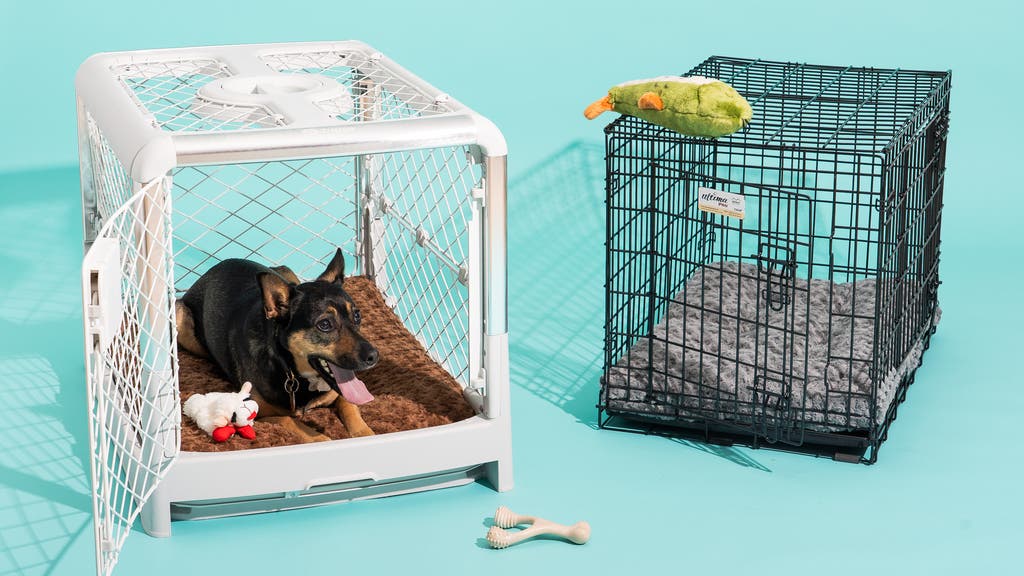 An application scenario or product detail of plastic crate vs wire crate - Image 13