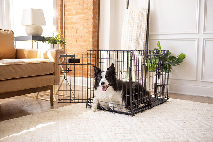An application scenario or product detail of plastic crate vs wire crate - Image 14