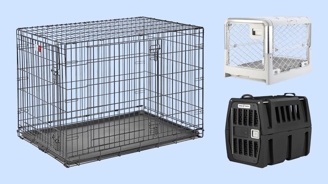 An application scenario or product detail of plastic crate vs wire crate - Image 20