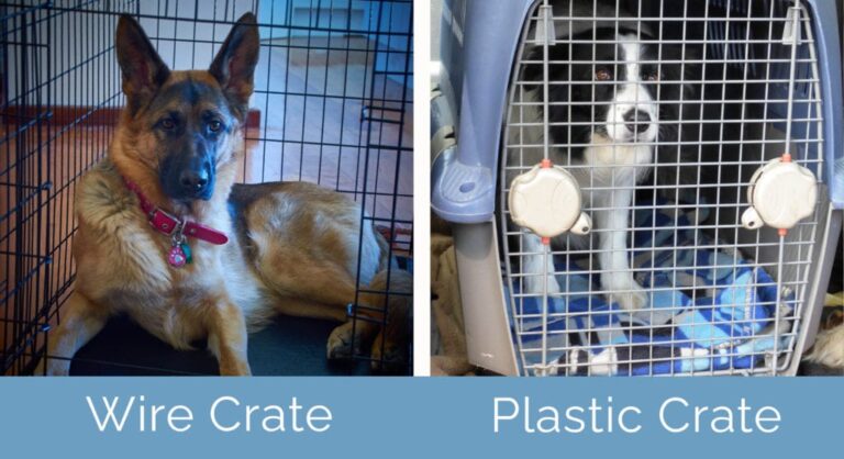 Featured image for the plastic crate vs wire crate guide